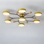 Ceiling Light Modern LED Flush Mount Chandelier Contemporary Home Lighting