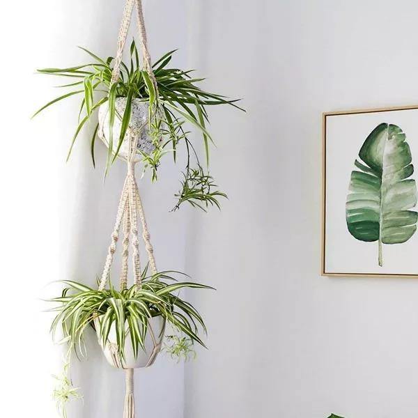 4-Piece Boho Macrame Plant Hanger Set