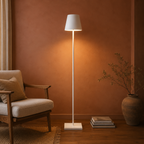 Modern Rechargeable LED Floor Lamp